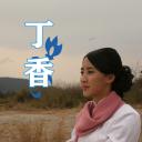 丁香