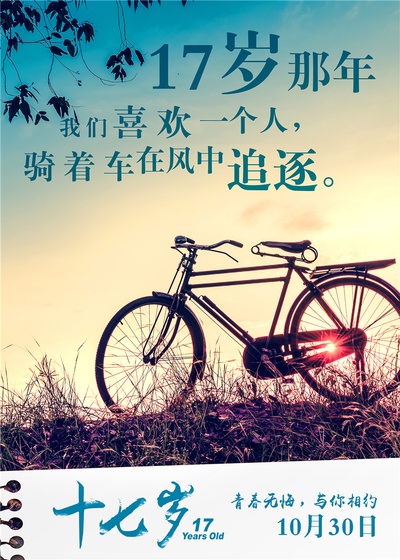 十七岁的海报-预告海报 中国大陆
