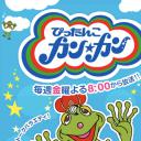 皮蛋壳康康