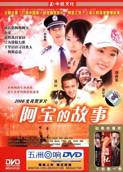 阿宝的故事的海报-正式海报