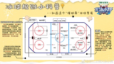 大冰小将的海报-其他海报 中国大陆