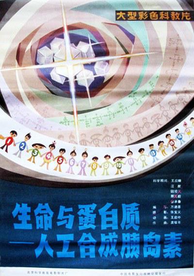 生命与蛋白质-人工合成胰岛素的海报-正式海报