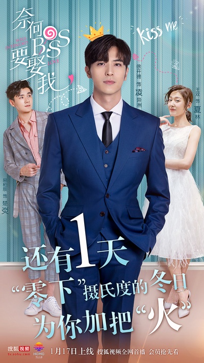 奈何boss要娶我的海报-其他海报