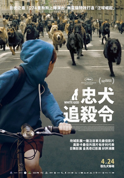 白色上帝的海报-正式海报 台湾