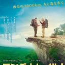 林中漫步