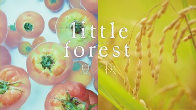 小森林 夏秋篇的海报-其他海报 日本