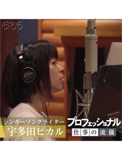 professional 行家本色 宇多田光特辑的海报-正式海报