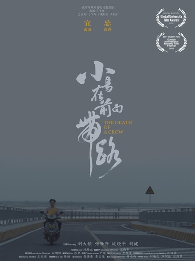 小鸟在前面带路的海报-预告海报 中国大陆