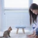 吴燕文