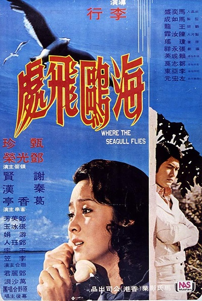 海鸥飞处的海报-正式海报