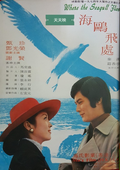 海鸥飞处的海报-正式海报