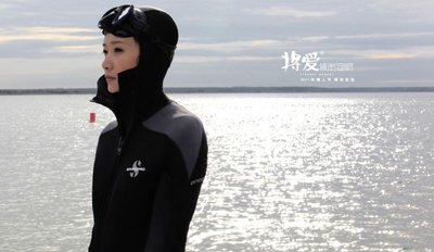 将爱情进行到底的海报-预告海报 中国