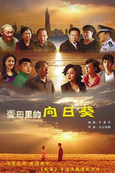 葵花进城的海报-正式海报