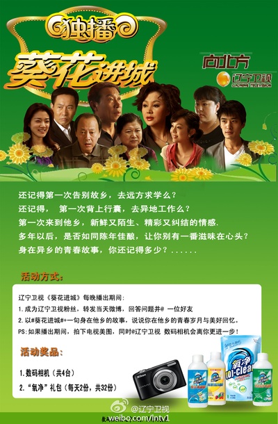 葵花进城的海报-正式海报