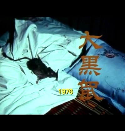狮子山下：大黑鼠的海报-正式海报