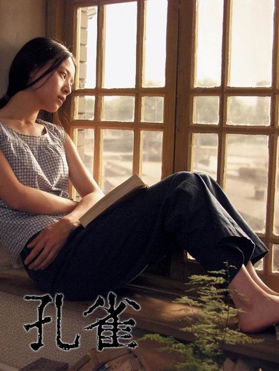 孔雀的海报-角色海报