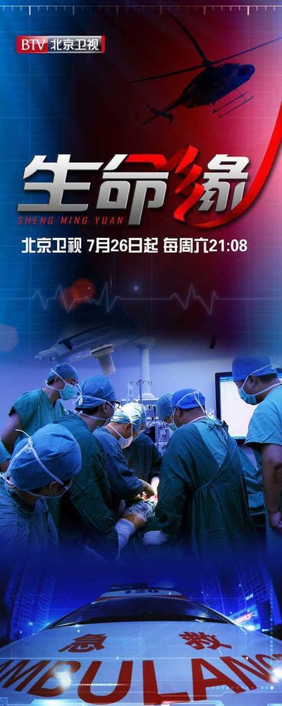 生命缘 第一季的海报-正式海报
