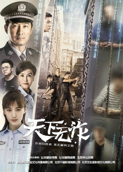 天下无诈的海报-正式海报