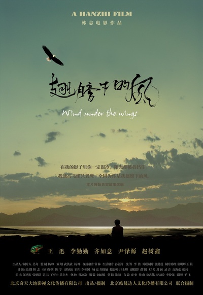 翅膀下的风的海报-正式海报