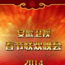 2014年安徽卫视春节联欢晚会