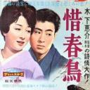 惜春鸟