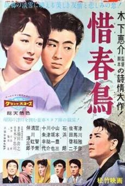 惜春鸟的海报-正式海报