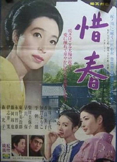 惜春鸟的海报-正式海报