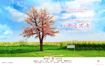 花水木的海报-预告海报