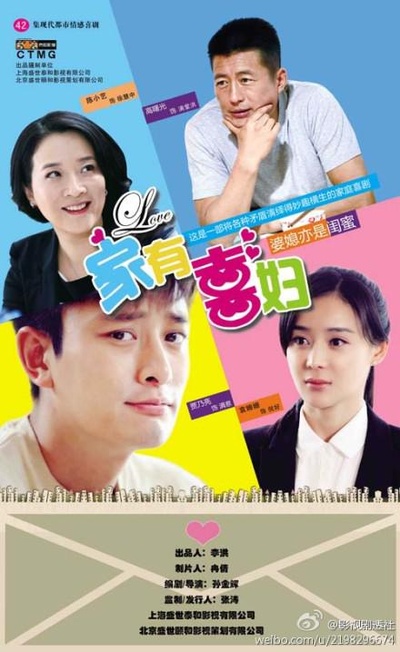 家有喜妇的海报-正式海报