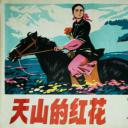 天山的红花