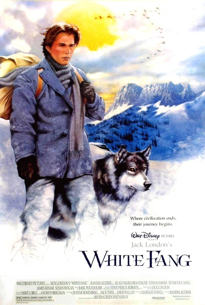 雪地黄金犬的海报-正式海报 美国