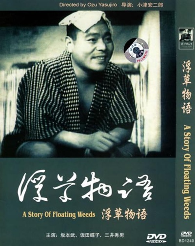 浮草物语的海报-正式海报