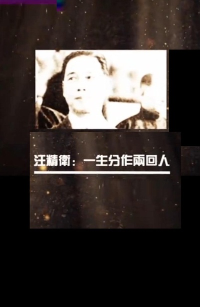 汪精卫：一生分作两回人的海报-正式海报