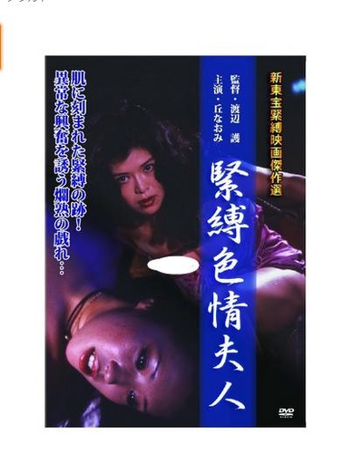 緊縛色情夫人的海报-正式海报