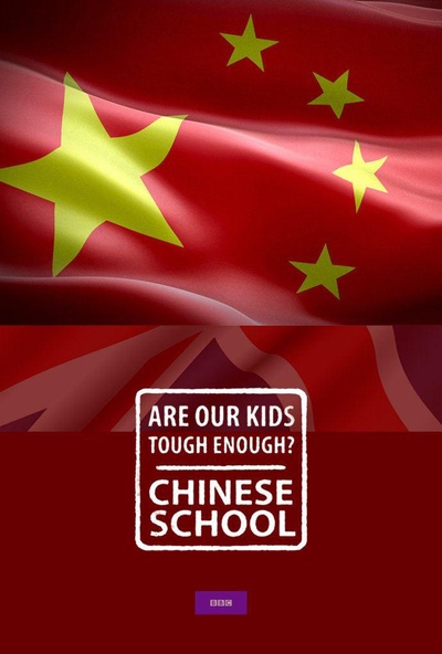 中国老师来了的海报-正式海报