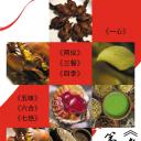 老广的味道 第二季