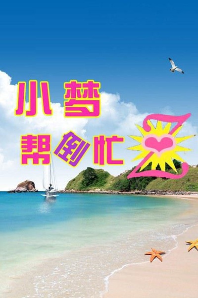 小梦帮倒忙Z的海报-正式海报