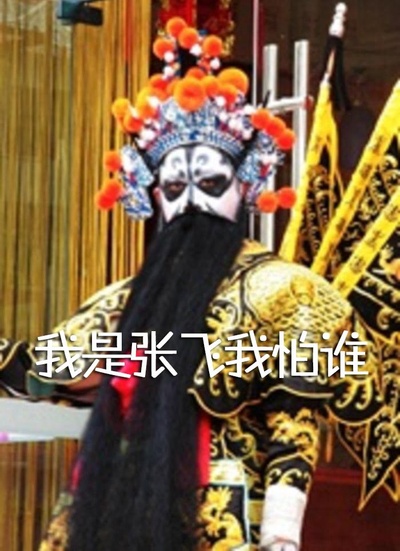 我是张飞我怕谁的海报-正式海报
