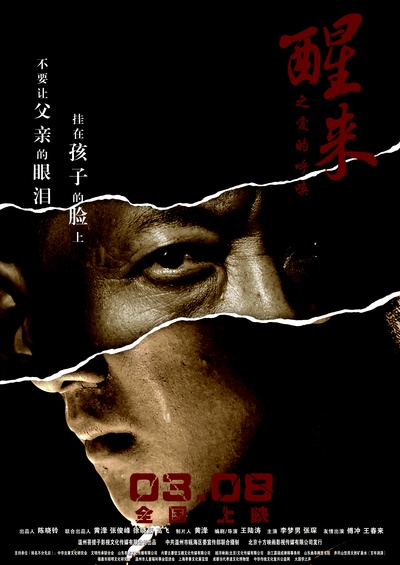醒来之爱的呼唤的海报-正式海报 中国大陆