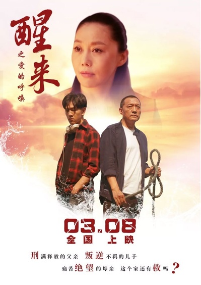 醒来之爱的呼唤的海报-正式海报