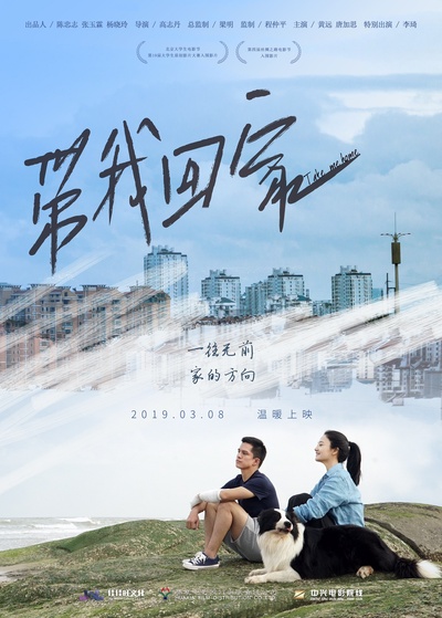 带我回家的海报-正式海报 中国大陆