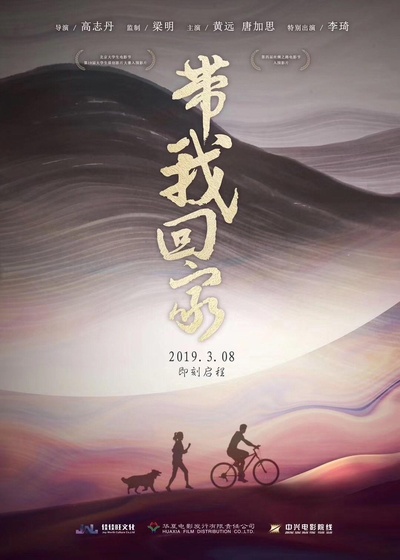 带我回家的海报-正式海报