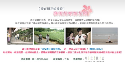 爱在桐花纷飞时的海报-正式海报