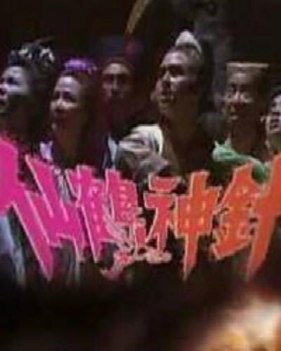 仙鹤神针的海报-正式海报
