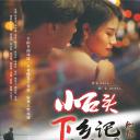 小石头下乡记