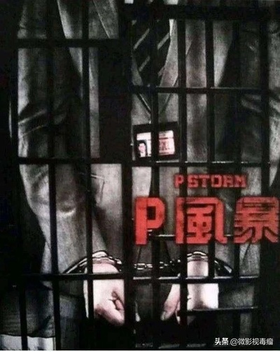 反贪风暴4的海报-其他海报