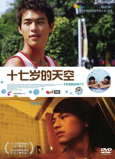十七岁的天空的海报-其他海报 DVD封套