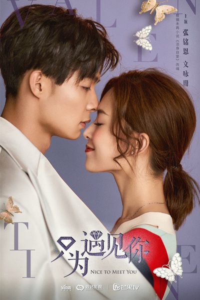 只为遇见你的海报-正式海报