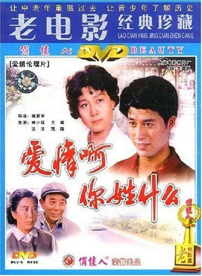 爱情啊，你姓什么？的海报-正式海报
