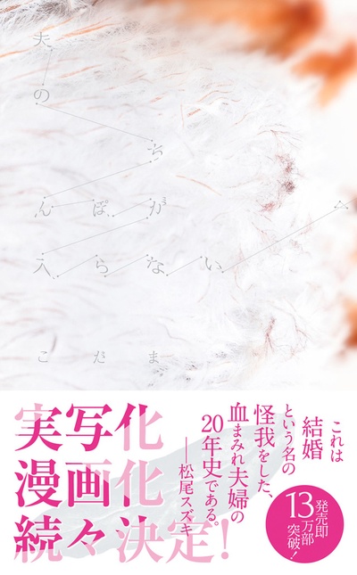 老公进不来的海报-预告海报 日本